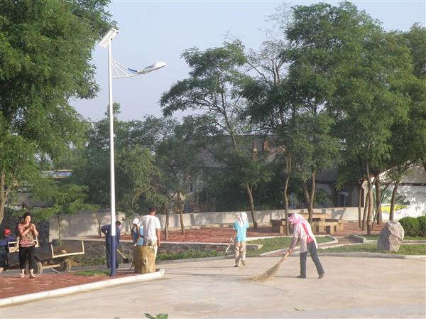 Solar Street Light